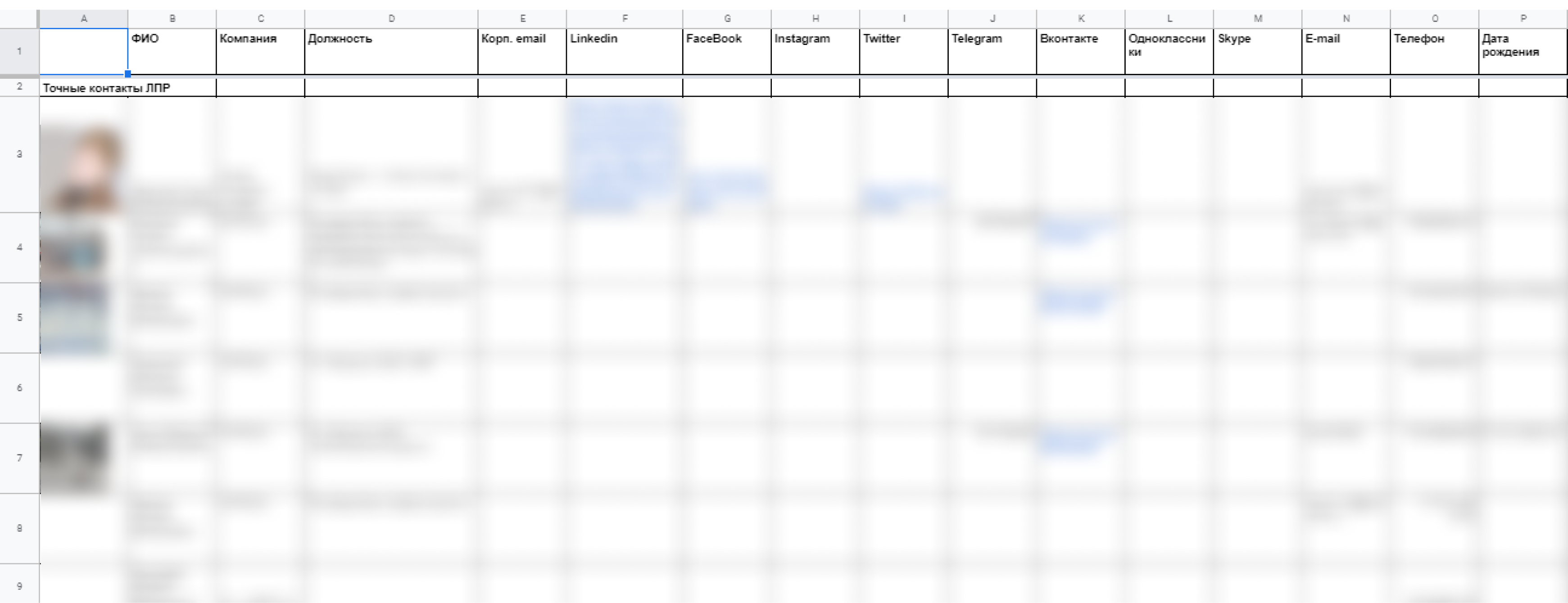 Скриншот таблицы с данными ЛПРов